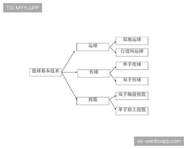 篮球持球规则深度解析：合法运球与移动的官方界定