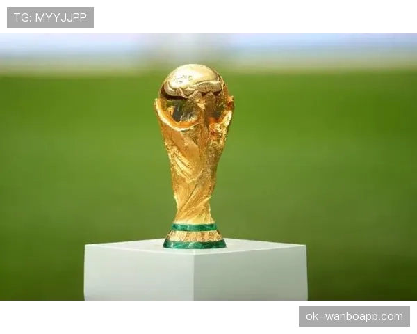 2026世界杯三国联合举办对旅游行业影响分析 2026世界杯三国联合举办对旅游行业影响分析